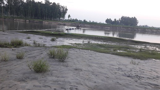 পলাশবাড়ীর করতোয়া নদী থেকে বালু উত্তোলন..হুমকির মুখে বাঁধ ও আশ্রয়ণ প্রকল্প